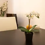 Elegant 2 Rooms In The Heart Of Cannes